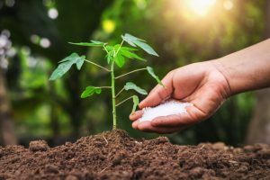 الأسمدة المركبة البودرة المتخصصة